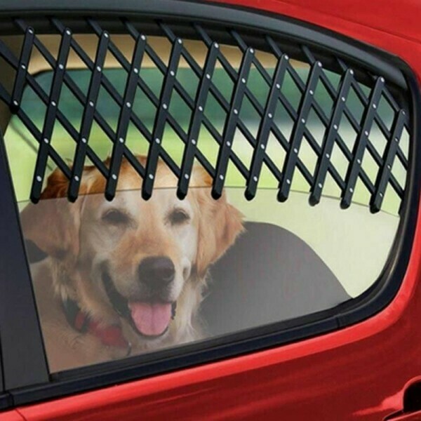 Car Window Protection