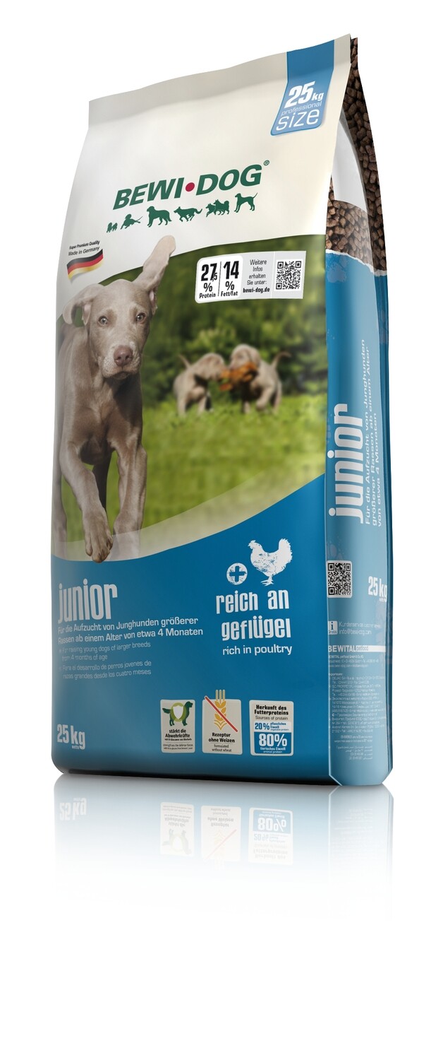 بي وي للصغار - حجم كبير 25 كجم