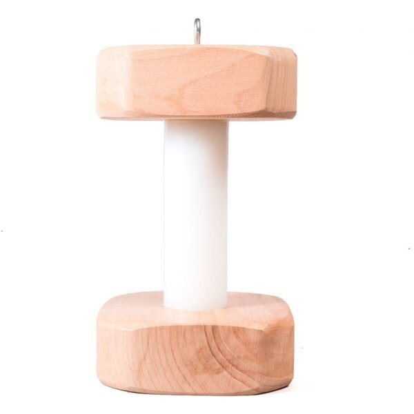 Magnetic dumbbell - nylon RADDOG