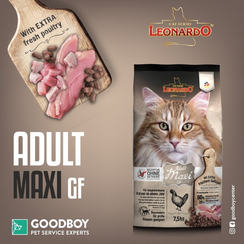 ليوناردو ماكسي للكبار 1.8 كجم