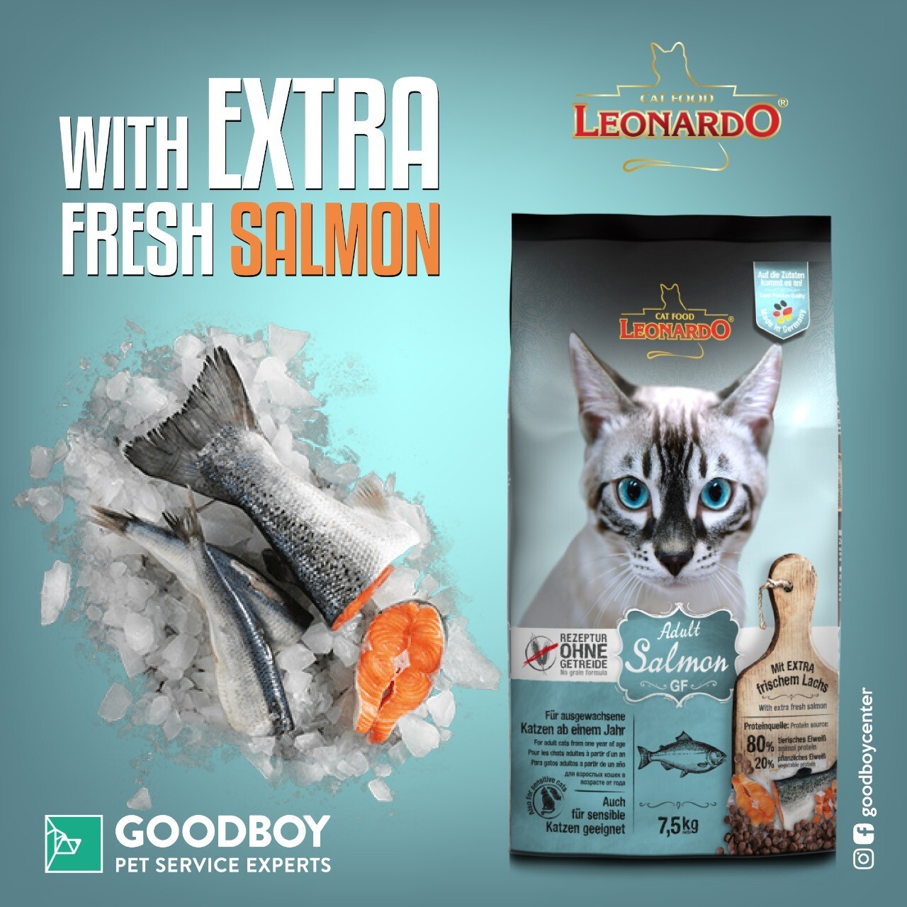 ليوناردو سالمون خالي من الحبوب 1.8 كجم