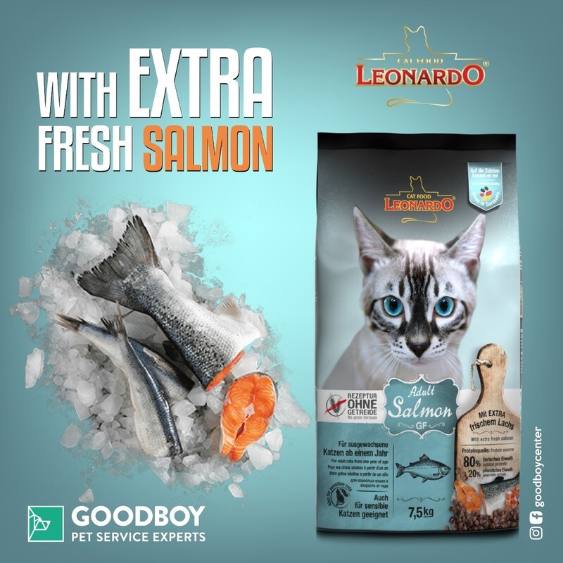 ليوناردو سالمون خالي من الحبوب 7.5 كجم