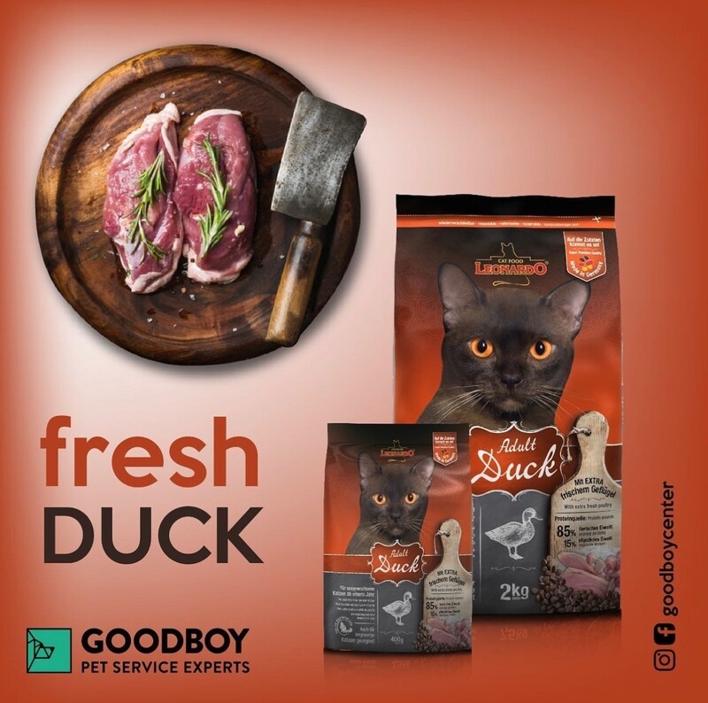 ليوناردو لحم بط للكبار والشعر الطويل 300 جرلم