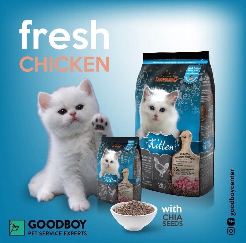 ليوناردو كيتن للقطط الصغيرة 300 جم