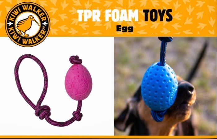 Kiwi Walker Let&#39;s play!  EGG - MAXI