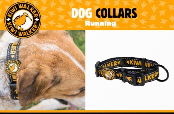 Kiwi Walker DOG COLLAR - Orange