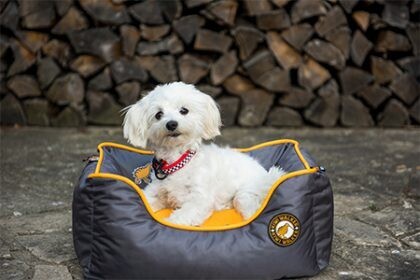 Kiwi Walker Running Sofa Bed Orange/Grey