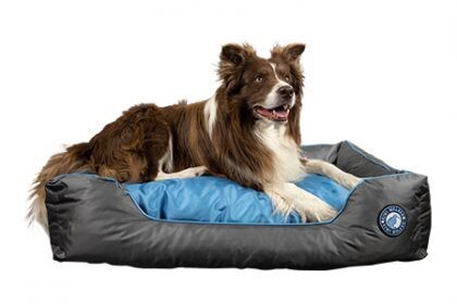 Kiwi Walker Running Sofa Bed Blue/Grey