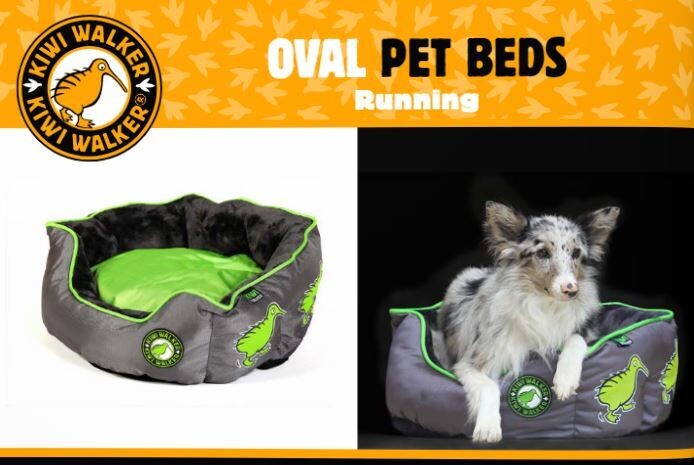 Kiwi Walker Running Kiwi Oval Bed XL