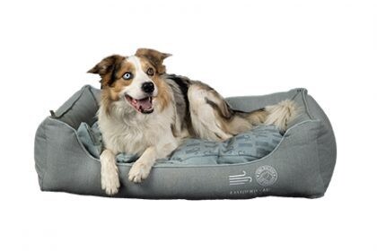 Kiwi Walker 4elements Sofa Bed Light Blue Air - L