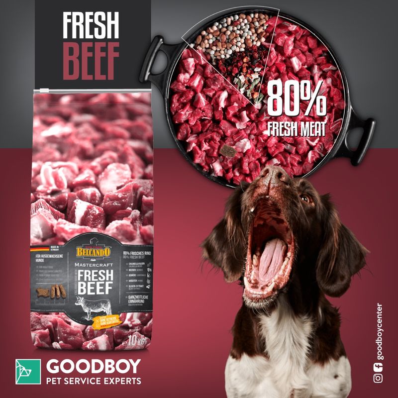 بلكاندو ماستر كرافت لحم بقر 10كجم