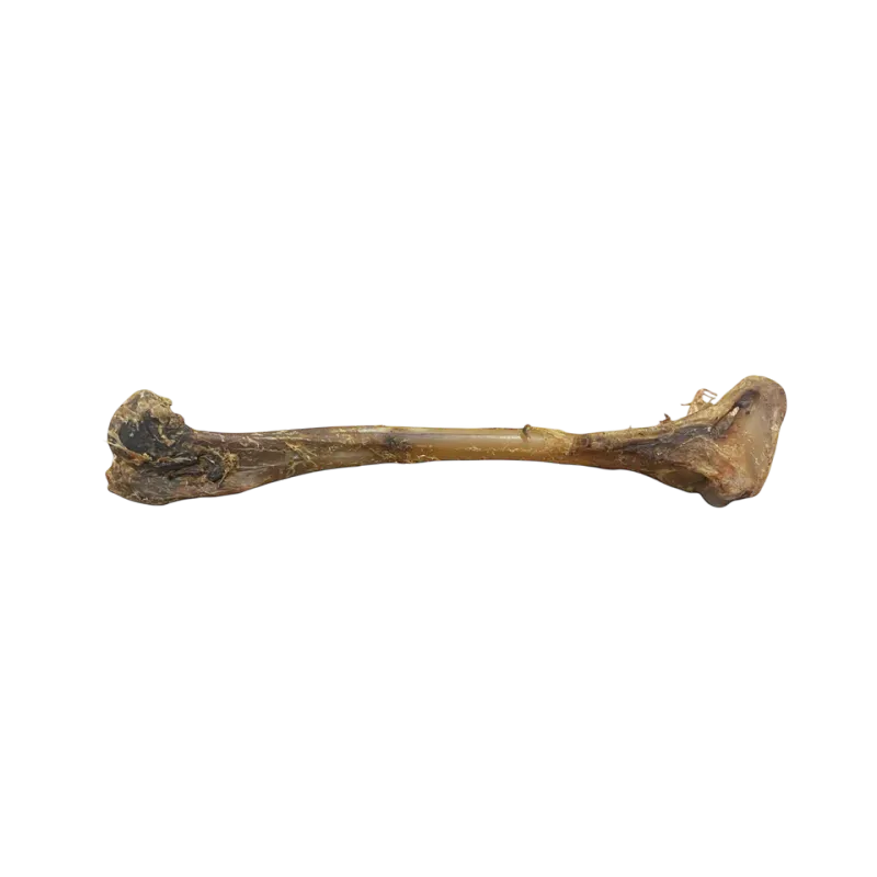 Reh Knochen Wild Knochen