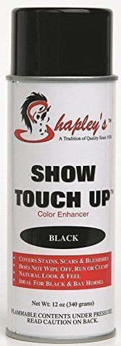 Shapleys Show Touch up in Black 10 OZ