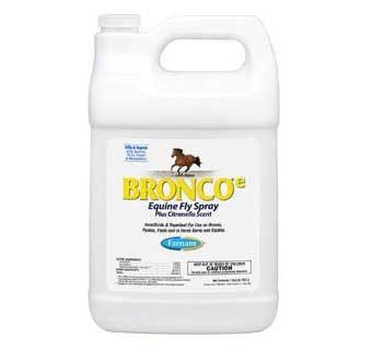 Equine Fly Protection