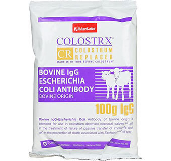 Calf Electrolytes and Colostrum