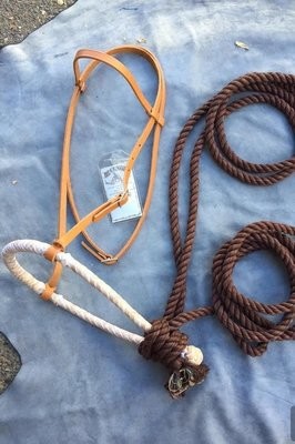 Hackamore