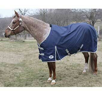 Blankets and Gear