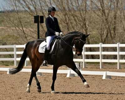 Fair and Horse Show