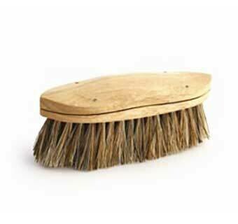 Equine care Tools and Brushes