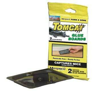 Tomcat Mouse glue Boards Valu-pack - 2 Pack