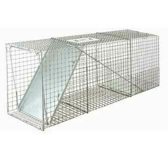 Little Giant 42.25 inch Single-Door Entry Live Animal Trap