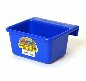 Little Giant 6 quart blue durable feeder