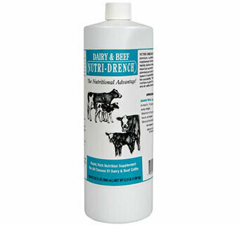 Nutri-Drench for Dairy Cattle - 32 OZ Bottle