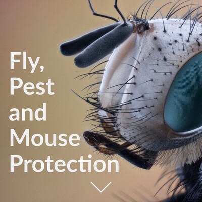 Fly, Pest and Mouse Protection