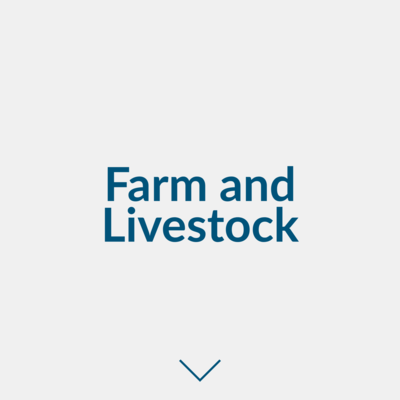 Farm and Livestock