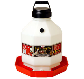 Miller MFG Plastic Poultry and Game Bird Waterer - 5 Gallon PPF5