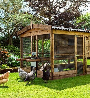 Chicken Coop Accessories