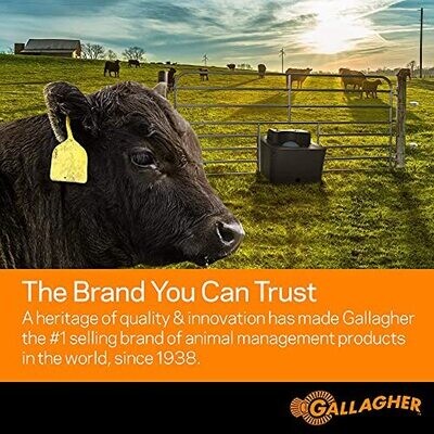 Gallagher S6 Lithium Solar Fence Energizer