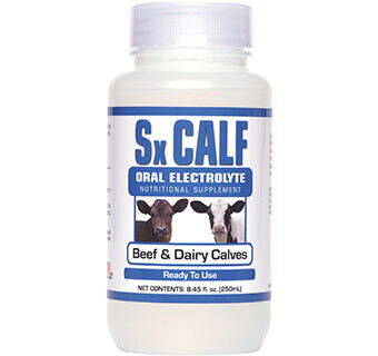 Sx Calf Oral Elecrolyte for Beef &amp; Dairy Calves 8.45 fl oz, 250 ML