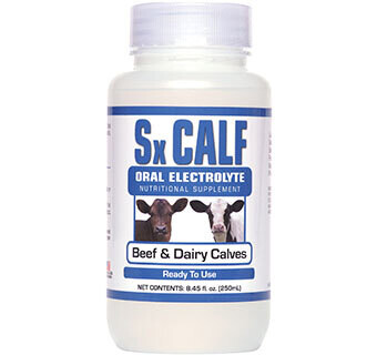 Sx Calf Oral Elecrolyte for Beef & Dairy Calves 8.45 fl oz, 250 ML