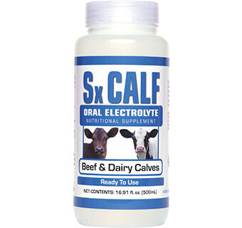 Sx Calf Oral Elecrolyte for Beef &amp; Dairy Calves 16.91 fl oz. 500 ML
