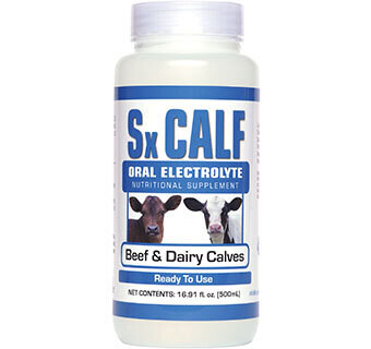 Sx Calf Oral Elecrolyte for Beef & Dairy Calves 16.91 fl oz. 500 ML
