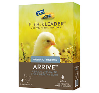 Flockleader Arrive Poultry Supplement 8 oz