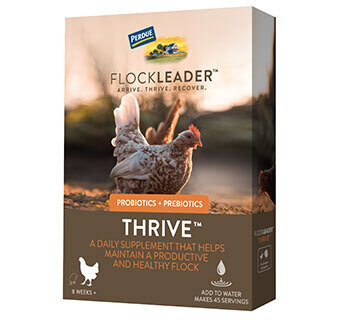 Flockleader Thrive Poultry Supplement 8 OZ