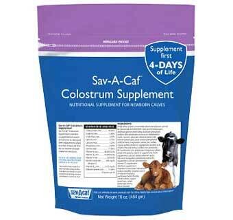 SAV-A-CAF® Colostrum Supplement 16 OZ Bag