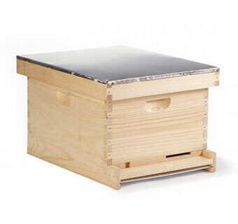 Little Giant 10- Frame complete Beehive HIVE10