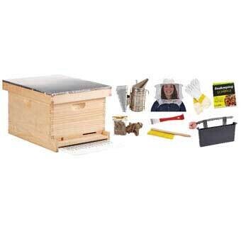 Beehive 10 Frame Deluxe Beginner Hive Kit Hive10kit