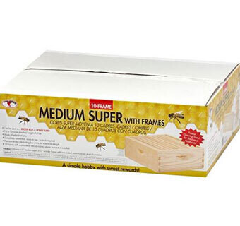 Little Giant Medium Super with 10 Frames MEDBOX10