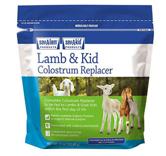 Sav-a-caf Lamb &amp; Kid Colostrum Replacer 10 OZ