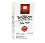 ToMorrow Mastitis Syringes 10 ml 12/Box Dry cow mastitis treatment