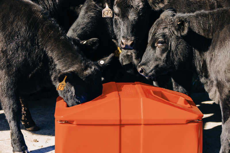 Tusker Single Energy Free Waterer 352NG