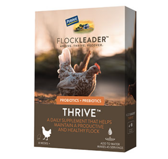 Perdue Flockleader Thrive Poultry Supplement 8 OZ - Case of 6