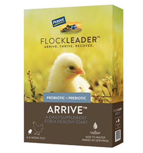 Perdue Flockleader Arrive Poultry Supplement 8 OZ - Case of 6