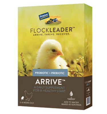 Perdue Flockleader Arrive Poultry Supplement 8 OZ - Case of 6