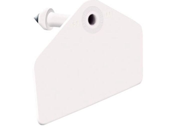 Allflex USA Global Hog Male Blank Ear Tags White 25 in a box