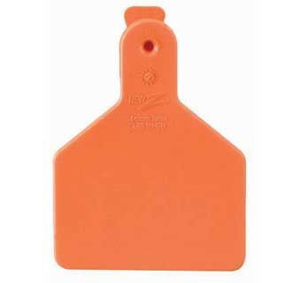 Z Tags One-piece Calf Ear Tags Blank orange 100 Count